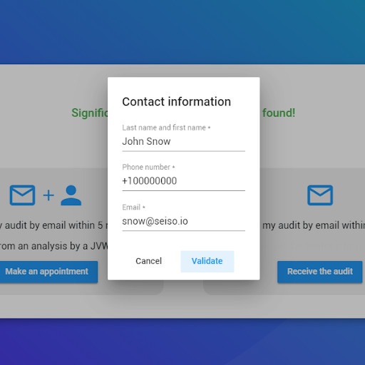 Fill Seiso form